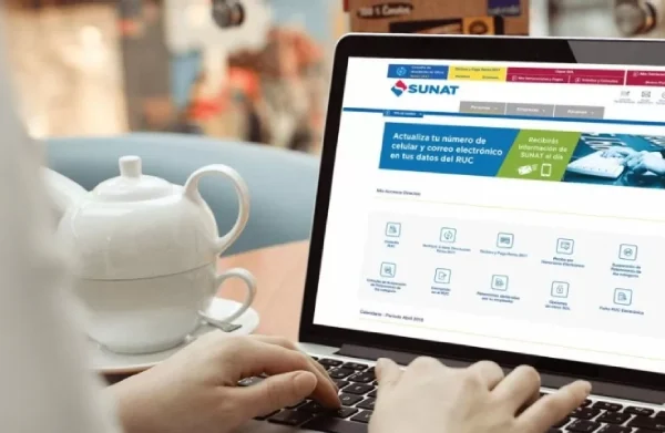 llevado-de-libros-electronicos